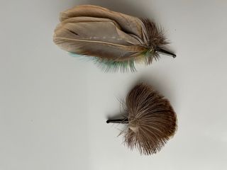 2 Broches Plumas Escocesas Kiltmaker