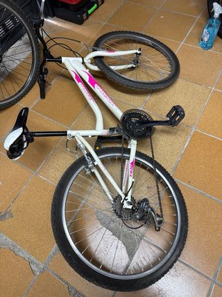 2 bicicletas de aluminio y soporte para 5 bicicle