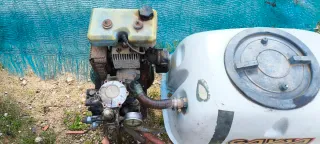 Carretilla sulfatadora 100L