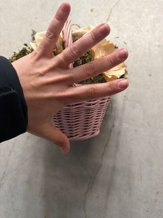 Cesto Flores Secas Mimbre Rosa