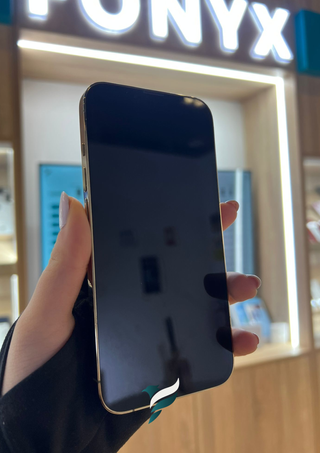 iPhone 13 Pro 256GB Gold