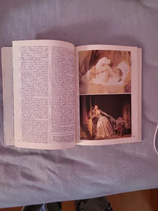 Historia del arte: Rococó en Francia y Alemania