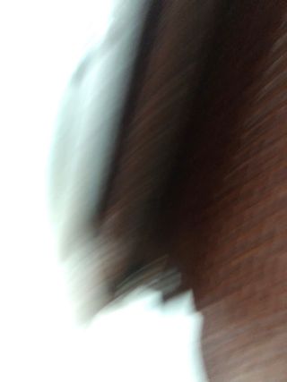 Bolso Cocodrilo Marrón Dorado