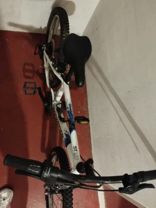 Bicicleta infantil hasta 10 años