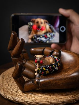 Haz tu mascota en 3D