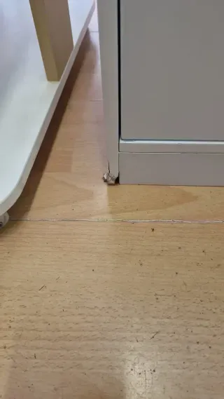 Librero infantil blanco