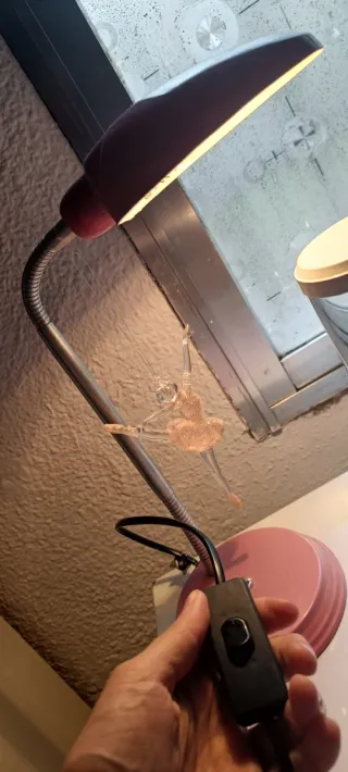 Lámpara Escritorio Infantil Rosa