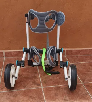 Silla de ruedas ortopédica para perros