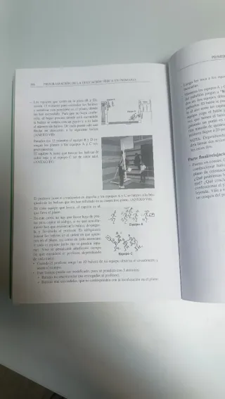 Programación de la Educación Física en Primaria...