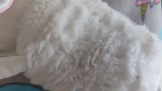 Peluche Oveja Leka Toss Ikea Musical