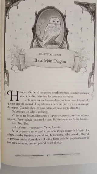 Harry Potter y la piedra filosofal (Harry Potte...