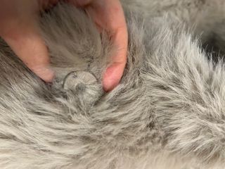 Abrigo de pelo beige