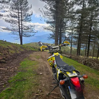 Suzuki DRZ 400 S 2004