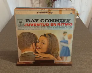 Expositor organizador de vinilos en madera.