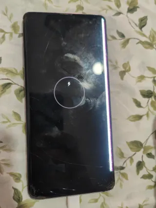 Samsung Galaxy S10+ y A