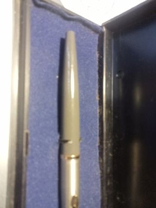 Pluma Parker chapada oro