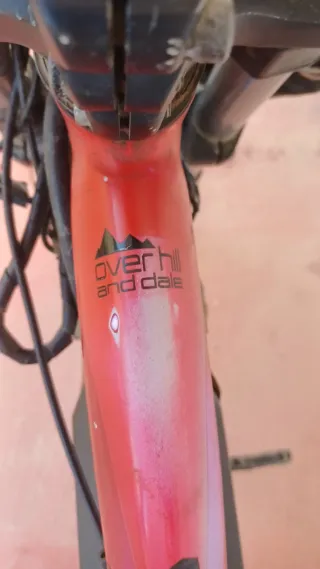 Bicicleta Eléctrica de Descenso 1500w