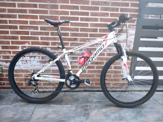 Bicicletas de Montaña y Gravel talla media