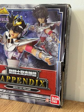 Saint Seiya Seiya De Pegase Appendix