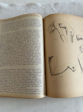 Libro antico Anatomia Fisiologica 1879