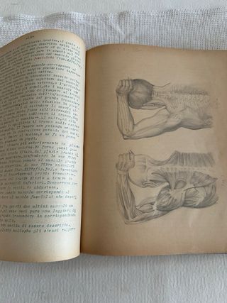 Libro antico Anatomia Fisiologica 1879
