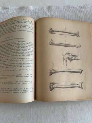 Libro antico Anatomia Fisiologica 1879