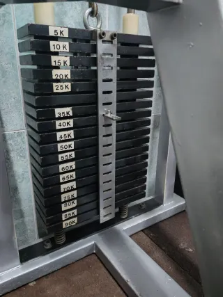 Máquina Remo Bajo Gironda