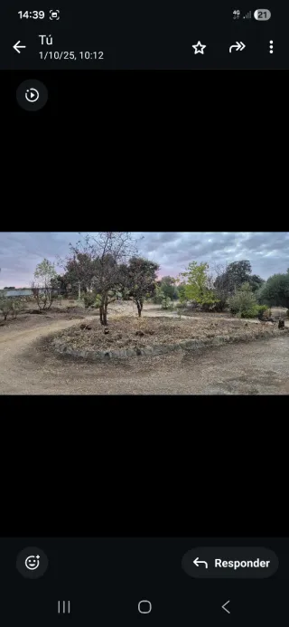 Jardinería- Podas- Fumigado-Desbroces-