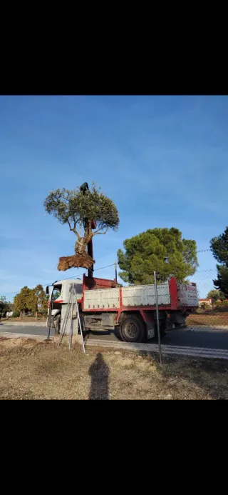 Jardinería- Podas- Fumigado-Desbroces-