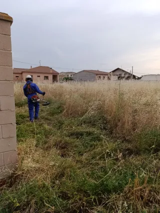 Jardinería- Podas- Fumigado-Desbroces-