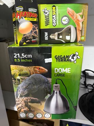 Bombillas para terrarios