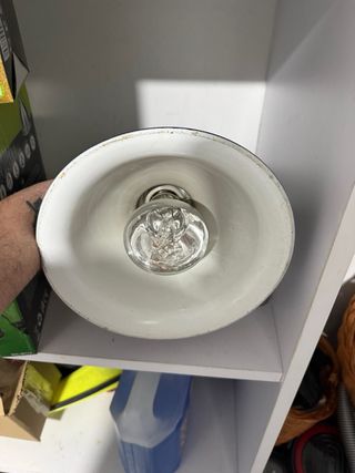 Bombillas para terrarios