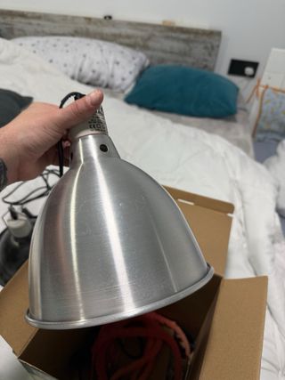 Bombillas para terrarios