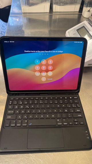 iPad Pro 11 M4 256GB Batería 100%