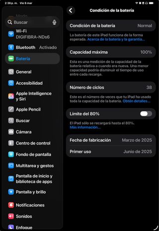 iPad Pro 11 M4 256GB Batería 100%