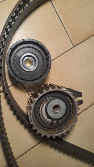 Kit distribuzione e cinghia servizi 1.6 diesel