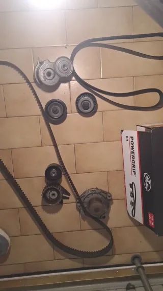Kit distribuzione e cinghia servizi 1.6 diesel