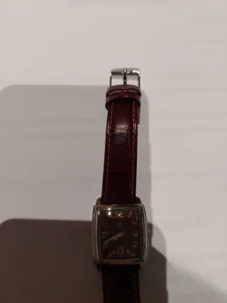 Reloj Viceroy Marrón Mujer
