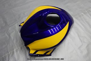 Oferta especial Carenado para HONDA CBR 600RR 2007