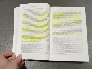 Diritto costituzionale comparato 11°edizione