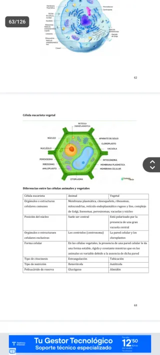 PAU - Biología 2026 - TODOS LOS BLOQUES