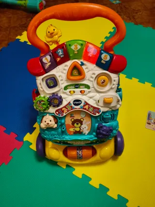 Carrellino primi passi Vtech