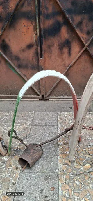 4 Campanacci da bovini