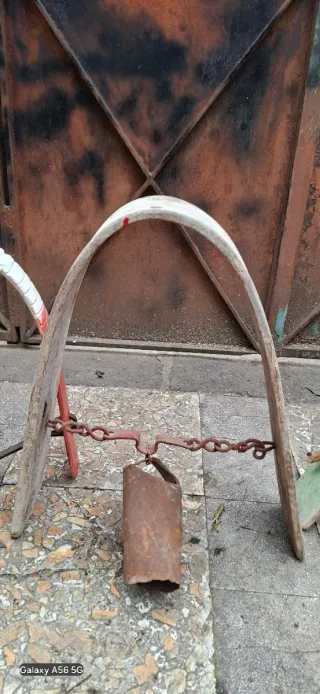 4 Campanacci da bovini