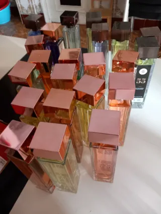 Lote de Perfumes Variados a 25euros