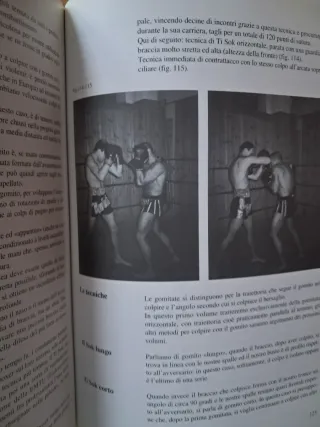 Boxe thailandese: muay thai