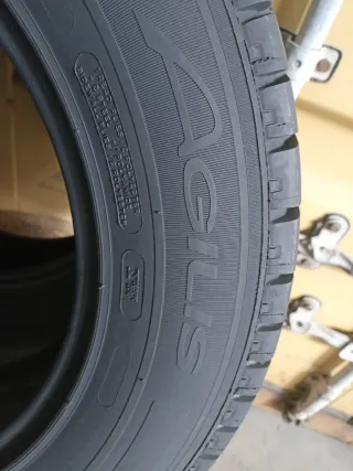 Vendo 2 Neumáticos de Furgoneta en Buen Estado