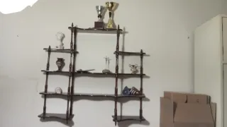 Estantería de madera y cristal