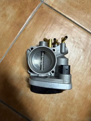 Cuerpo Mariposa AVU. GRUPO VAG