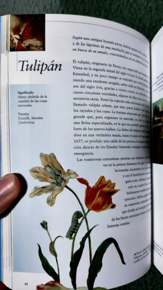 La Naturaleza y sus símbolos. ISBN 9788481563597